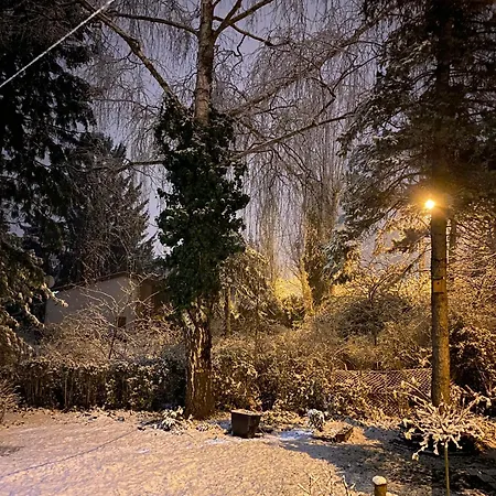 Homestay Liget Szentendre